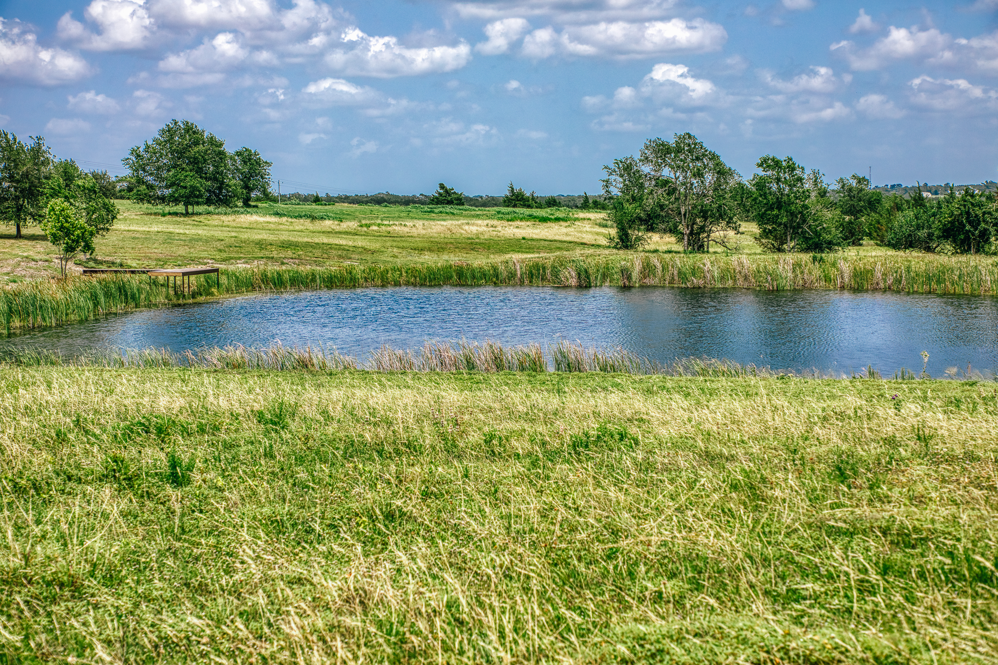 Pond and rolling pasture — Lot 3, The Clearing