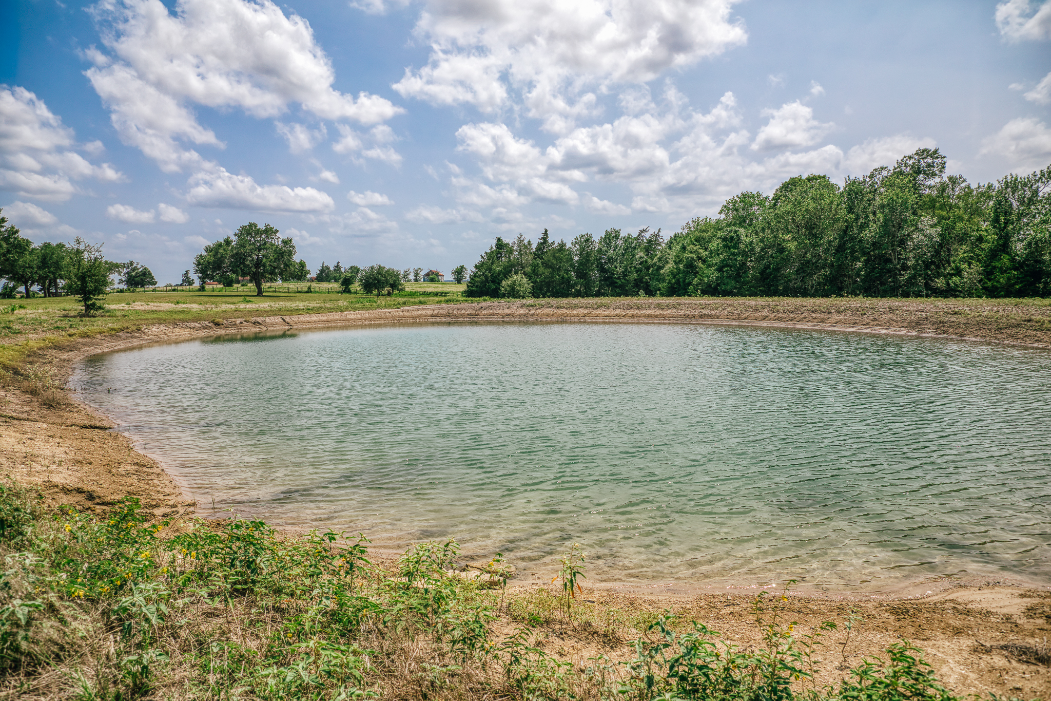 Pasture and pond — Lot 2, The Clearing